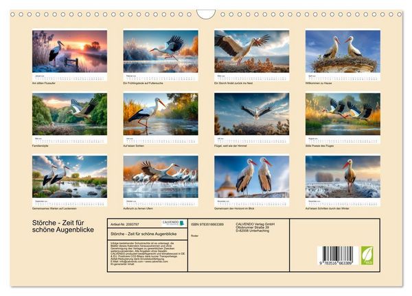 Produktbild: St&ouml;rche - Zeit f&uuml;r sch&ouml;ne Augenblicke (Wandkalender 2026 DIN A3 quer), CALVENDO Monatskalender