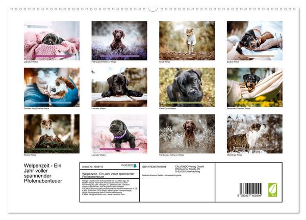 Produktbild: Welpenzeit - Ein Jahr voller spannender Pfotenabenteuer (hochwertiger Premium Wandkalender 2026 DIN A2 quer), Kunstdruck in Hochglanz