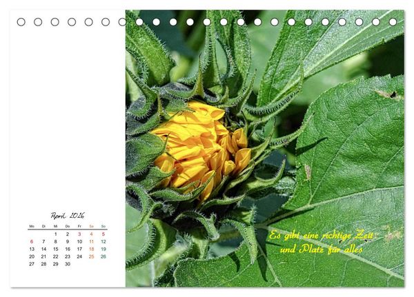 Produktbild: Innehalten in der Natur ... mit Weisheiten und Sprichworten der Indianer (Tischkalender 2026 DIN A5 quer), CALVENDO Monatskalender