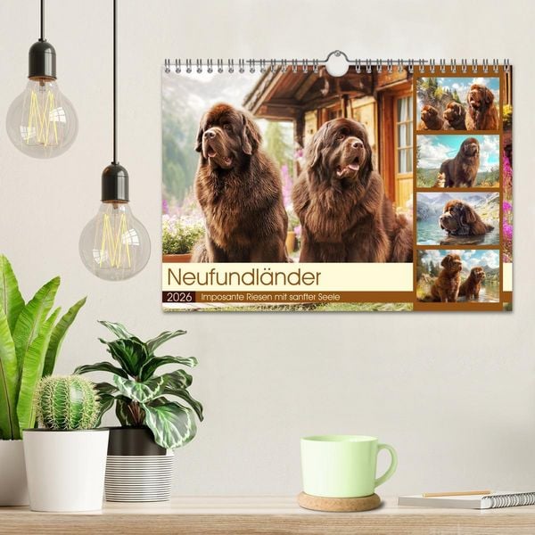 Produktbild: Neufundl&auml;nder. Imposante Riesen mit sanfter Seele (Wandkalender 2026 DIN A4 quer), CALVENDO Monatskalender
