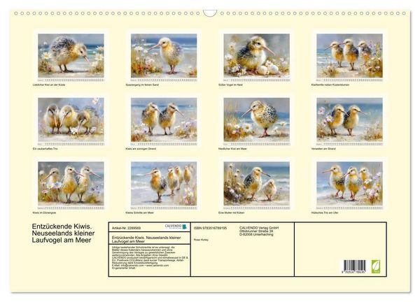 Produktbild: Entz&uuml;ckende Kiwis. Neuseelands kleiner Laufvogel am Meer (Wandkalender 2027 DIN A2 quer), CALVENDO Monatskalender