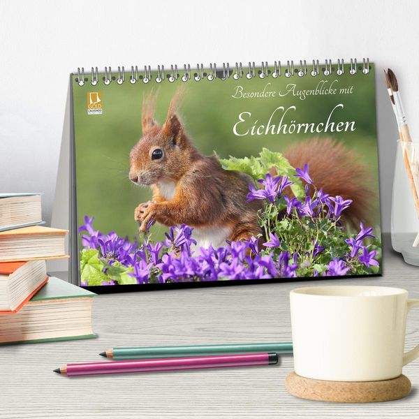 Produktbild: Besondere Augenblicke mit Eichh&ouml;rnchen (Tischkalender 2026 DIN A5 quer), CALVENDO Monatskalender
