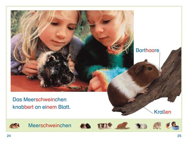 Produktbild: SUPERLESER! Lina im Streichelzoo
