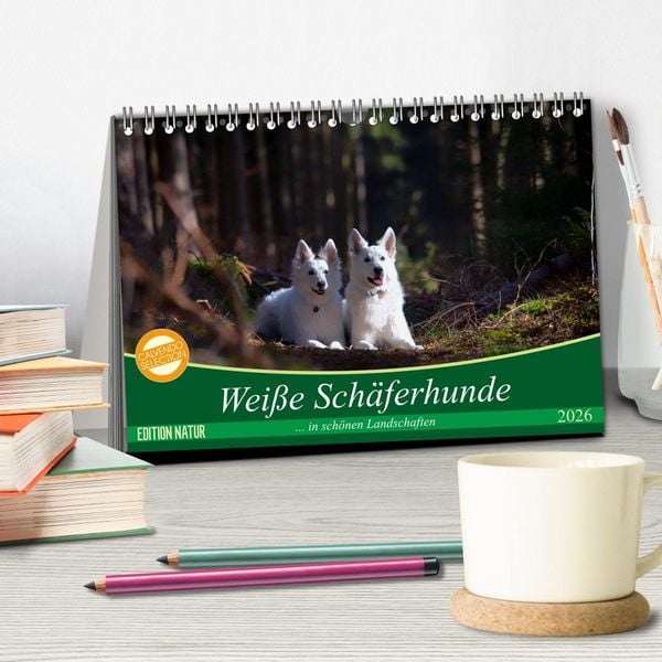 Produktbild: Wei&szlig;e Sch&auml;ferhunde in sch&ouml;nen Landschaften (Tischkalender 2026 DIN A5 quer), CALVENDO Monatskalender