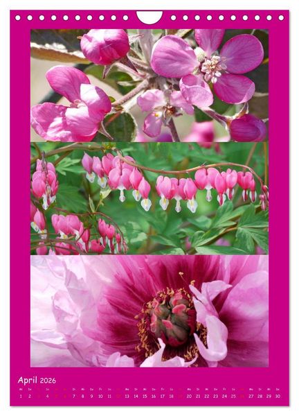 Produktbild: Natur im Farbenrausch (Wandkalender 2026 DIN A4 hoch), CALVENDO Monatskalender