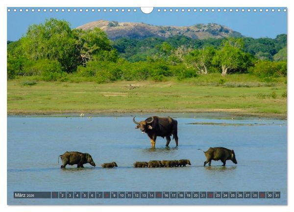 Produktbild: Sri Lanka - Eine Bilder-Reise (Wandkalender 2026 DIN A3 quer), CALVENDO Monatskalender