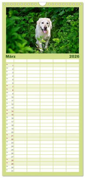 Produktbild: Familienplaner 2026 - Golden Retriever mit 5 Spalten (Wandkalender, 21 x 45 cm) CALVENDO