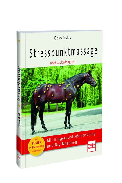 Produktbild: Stresspunktmassage nach Jack Meagher