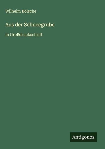 Produktbild: Aus der Schneegrube