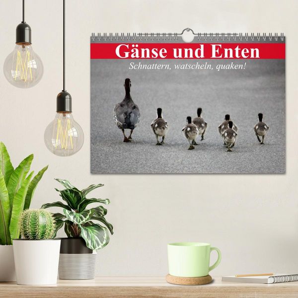 Produktbild: G&auml;nse und Enten. Schnattern, watscheln, quaken! (Wandkalender 2026 DIN A4 quer), CALVENDO Monatskalender