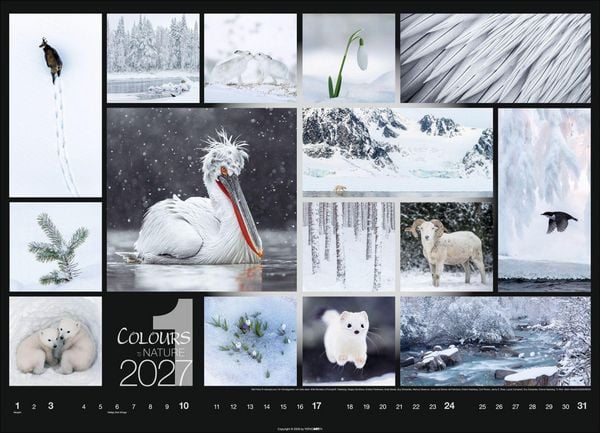 Produktbild: Colours of Nature Kalender 2027