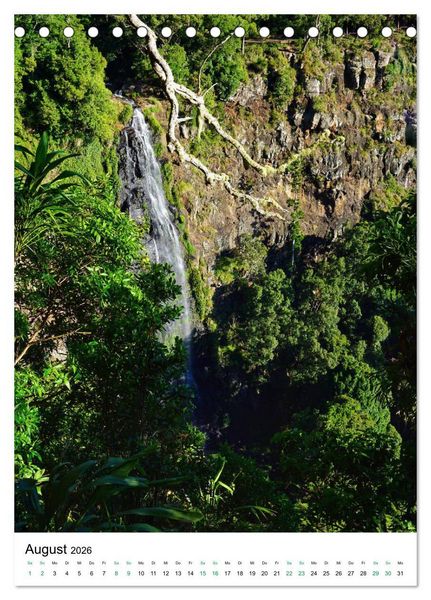 Produktbild: Regenwald - Australien (Tischkalender 2026 DIN A5 hoch), CALVENDO Monatskalender