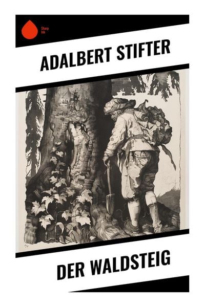 Der Waldsteig, Taschenbuch von Adalbert Stifter, Sharp Ink, 9788028347314