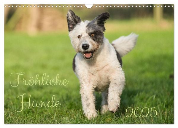 Fröhliche Hunde (Wandkalender 2025 DIN A3 quer), CALVENDO Monatskalender