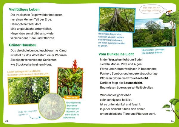 Produktbild: WAS IST WAS Erstes Lesen. Leser&auml;tsel Regenwald