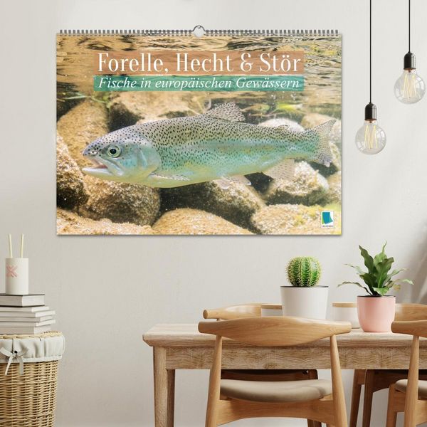 Produktbild: Forelle, Hecht und St&ouml;r: Fische in europ&auml;ischen Gew&auml;ssern (Wandkalender 2026 DIN A2 quer), CALVENDO Monatskalender