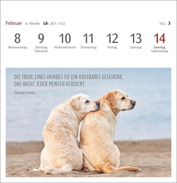 Produktbild: Hunde Premium-Postkartenkalender 2027 - Freunde auf vier Pfoten; Kalender mit 53 Postkarten