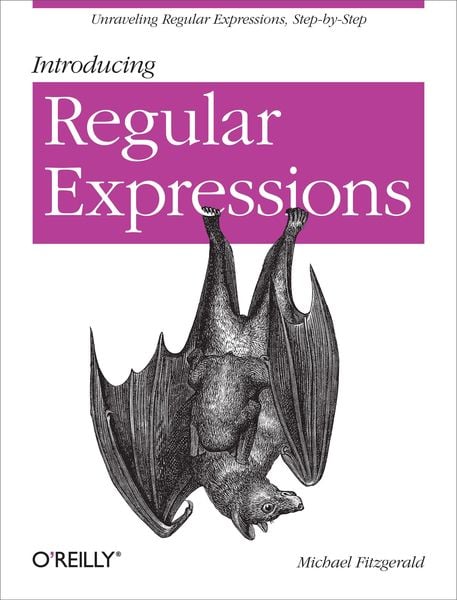 Produktbild: Introducing Regular Expressions