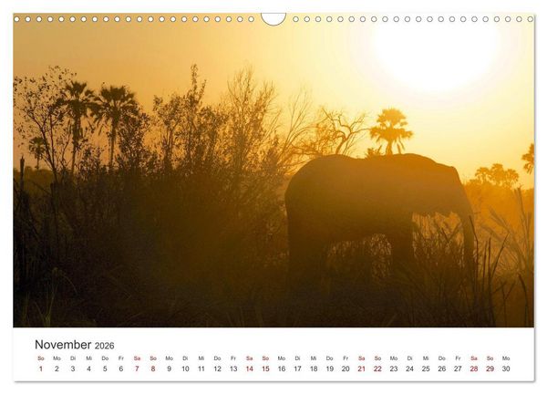 Produktbild: Botswana - Eine spannende Reise in ein wundersch&ouml;nes Land. (Wandkalender 2026 DIN A3 quer), CALVENDO Monatskalender