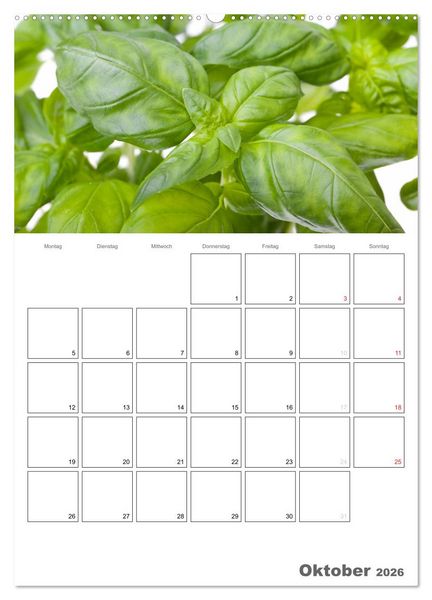Produktbild: Frische K&uuml;che - Der hilfreiche Monatsplaner / Planer (Wandkalender 2026 DIN A2 hoch), CALVENDO Monatskalender