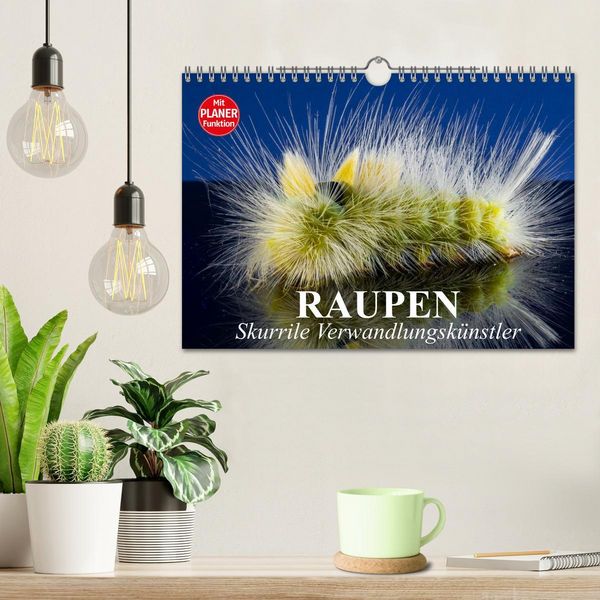 Produktbild: Raupen. Skurrile Verwandlungsk&uuml;nstler (Wandkalender 2026 DIN A4 quer), CALVENDO Monatskalender