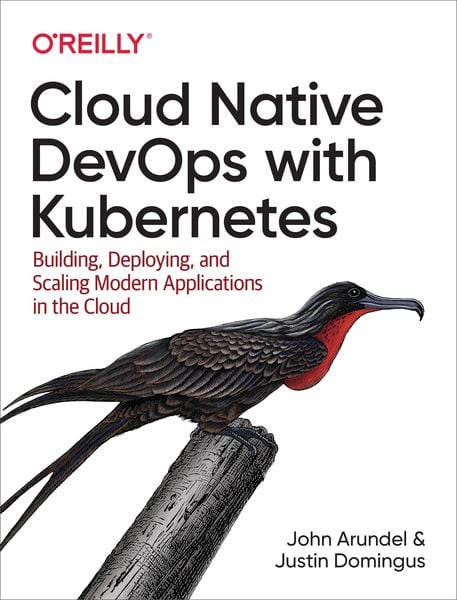 Produktbild: Cloud Native DevOps with Kubernetes