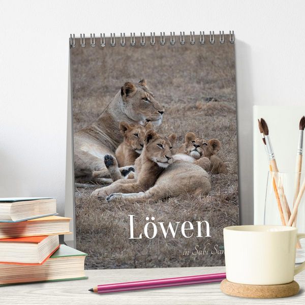 Produktbild: L&ouml;wen in Sabi Sands (Tischkalender 2026 DIN A5 hoch), CALVENDO Monatskalender