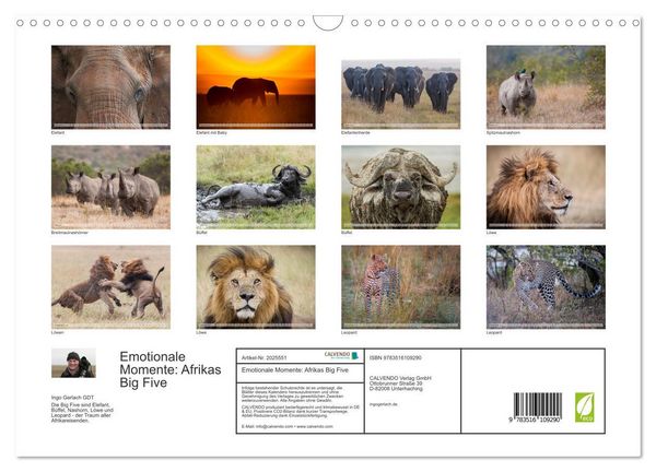 Produktbild: Emotionale Momente: Afrikas Big Five (Wandkalender 2026 DIN A3 quer), CALVENDO Monatskalender