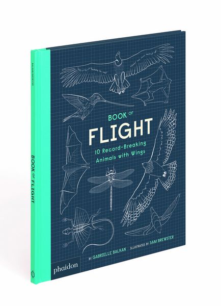 Produktbild: Book of Flight