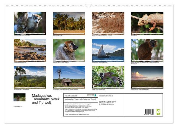 Produktbild: Madagaskar. Traumhafte Natur und Tierwelt (Wandkalender 2026 DIN A2 quer), CALVENDO Monatskalender