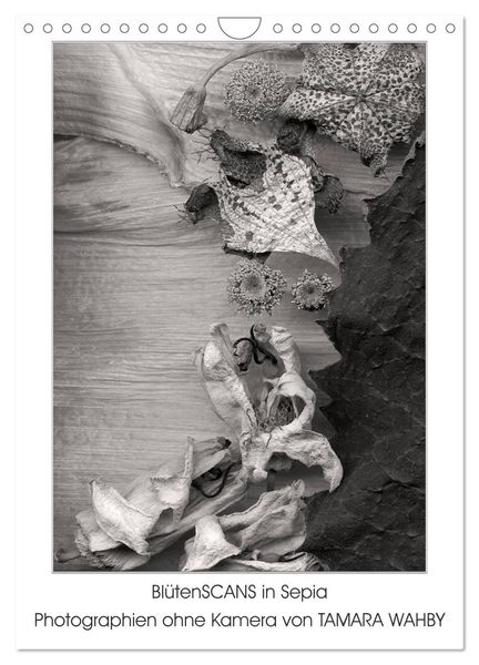 BlütenScans in Sepia, Photographien ohne Kamera von Tamara Wahby (Wandkalender 2024 DIN A4 hoch), CALVENDO Monatskalende