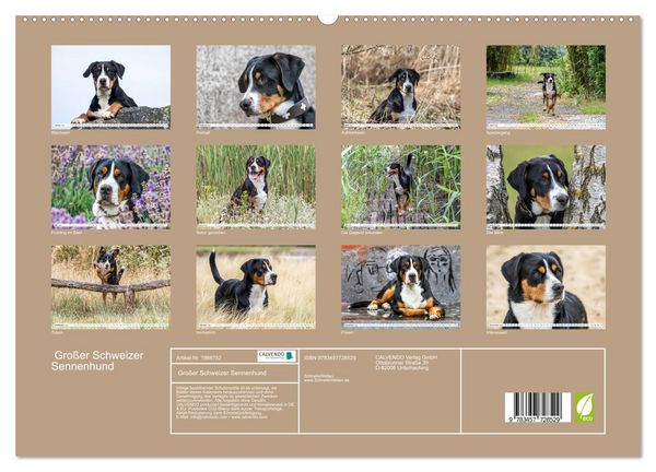 Produktbild: Gro&szlig;er Schweizer Sennenhund (hochwertiger Premium Wandkalender 2026 DIN A2 quer), Kunstdruck in Hochglanz
