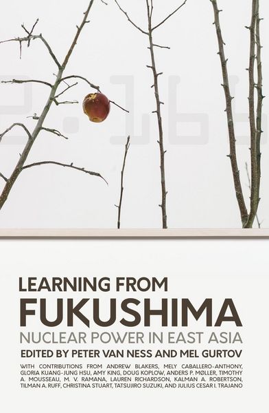 Produktbild: Learning from Fukushima