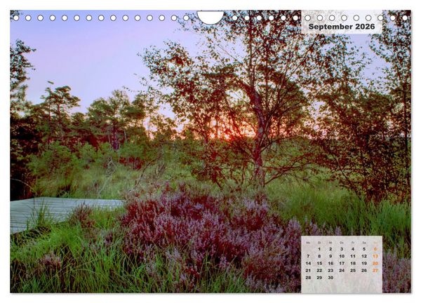 Produktbild: Niedersachsens Moorlandschaften - Das Pietzmoor, Schneverdingen (Wandkalender 2026 DIN A4 quer), CALVENDO Monatskalender