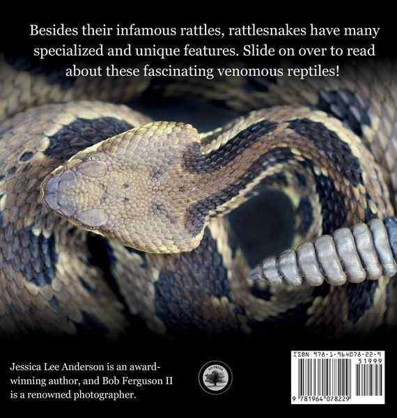 Produktbild: Rattlesnakes