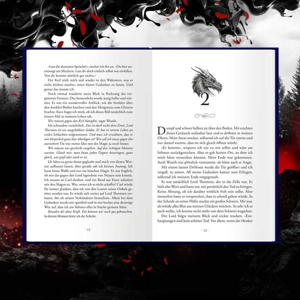 Dreamcatcher | Shadowfall (Band 6)