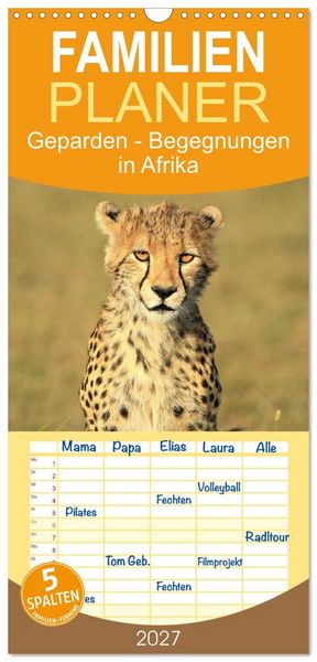 Produktbild: Familienplaner 2027 - Geparden - Begegnungen in Afrika mit 5 Spalten (Wandkalender, 21 x 45 cm) CALVENDO