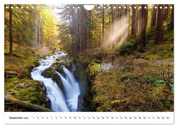 Produktbild: The Olympic National Park - Washington USA (Wandkalender 2026 DIN A4 quer), CALVENDO Monatskalender