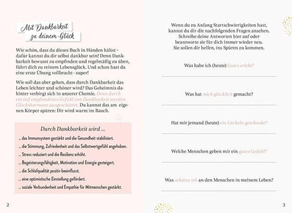 Produktbild: Danke - Mein Tagebuch