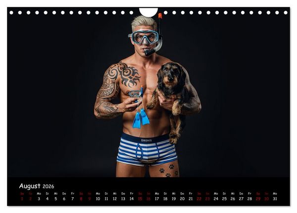 Produktbild: Coole Typen - Rauhaardackel (Wandkalender 2026 DIN A4 quer), CALVENDO Monatskalender