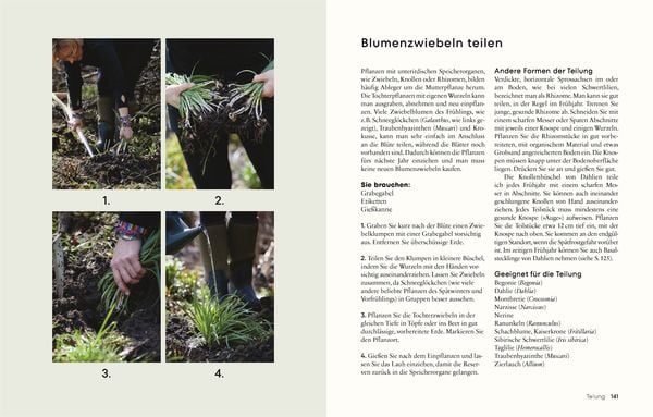 Produktbild: G&auml;rtnern f&uuml;r wenig Geld