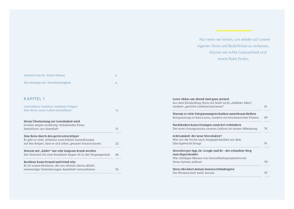Produktbild: Die Strategie der Absichtslosigkeit