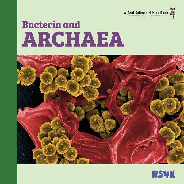 Produktbild: Bacteria and Archaea