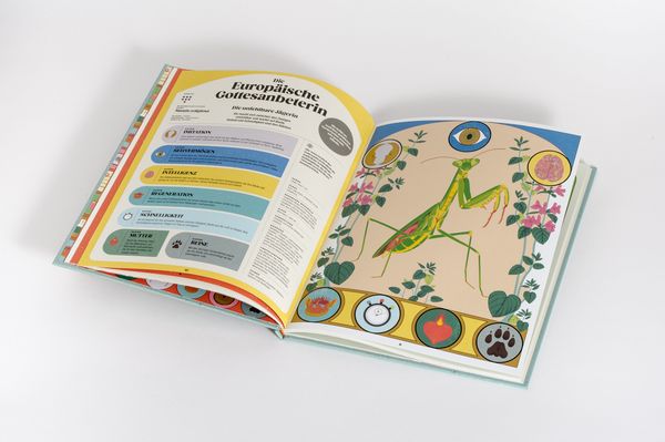 Produktbild: Insekten und ihre Superkr&auml;fte