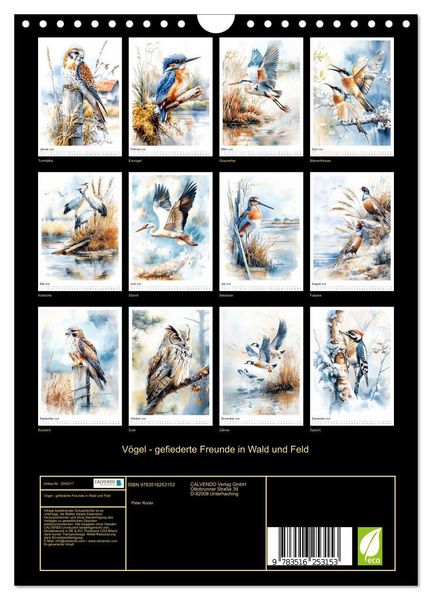 Produktbild: V&ouml;gel - gefiederte Freunde in Wald und Feld (Wandkalender 2026 DIN A4 hoch), CALVENDO Monatskalender