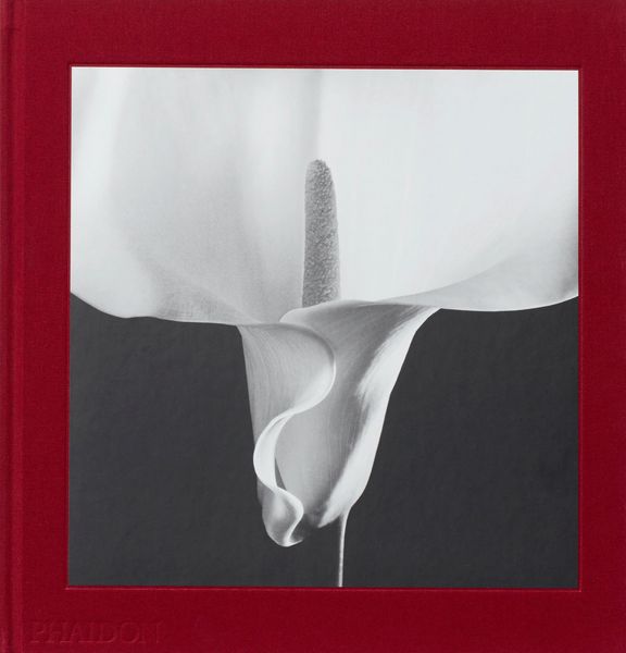 Produktbild: Mapplethorpe Flora