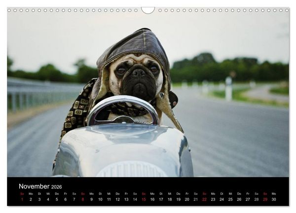 Produktbild: Der MOPS-Kalender (Wandkalender 2026 DIN A3 quer), CALVENDO Monatskalender