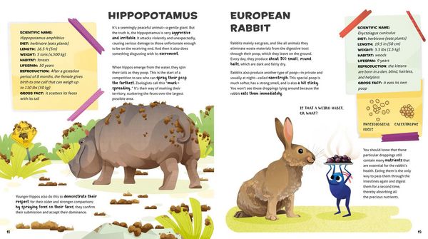 Produktbild: Weird and Wonderful Gross Animals