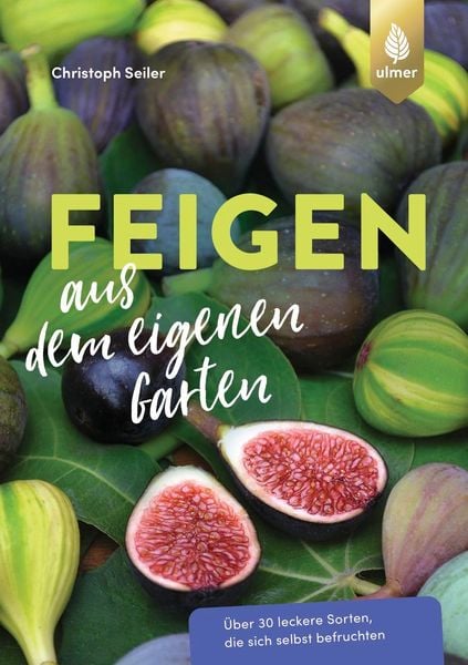 Feigen aus dem eigenen Garten