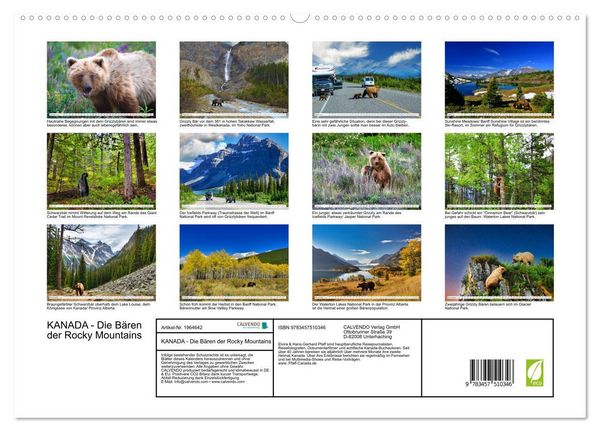 Produktbild: KANADA - Die B&auml;ren der Rocky Mountains (hochwertiger Premium Wandkalender 2026 DIN A2 quer), Kunstdruck in Hochglanz
